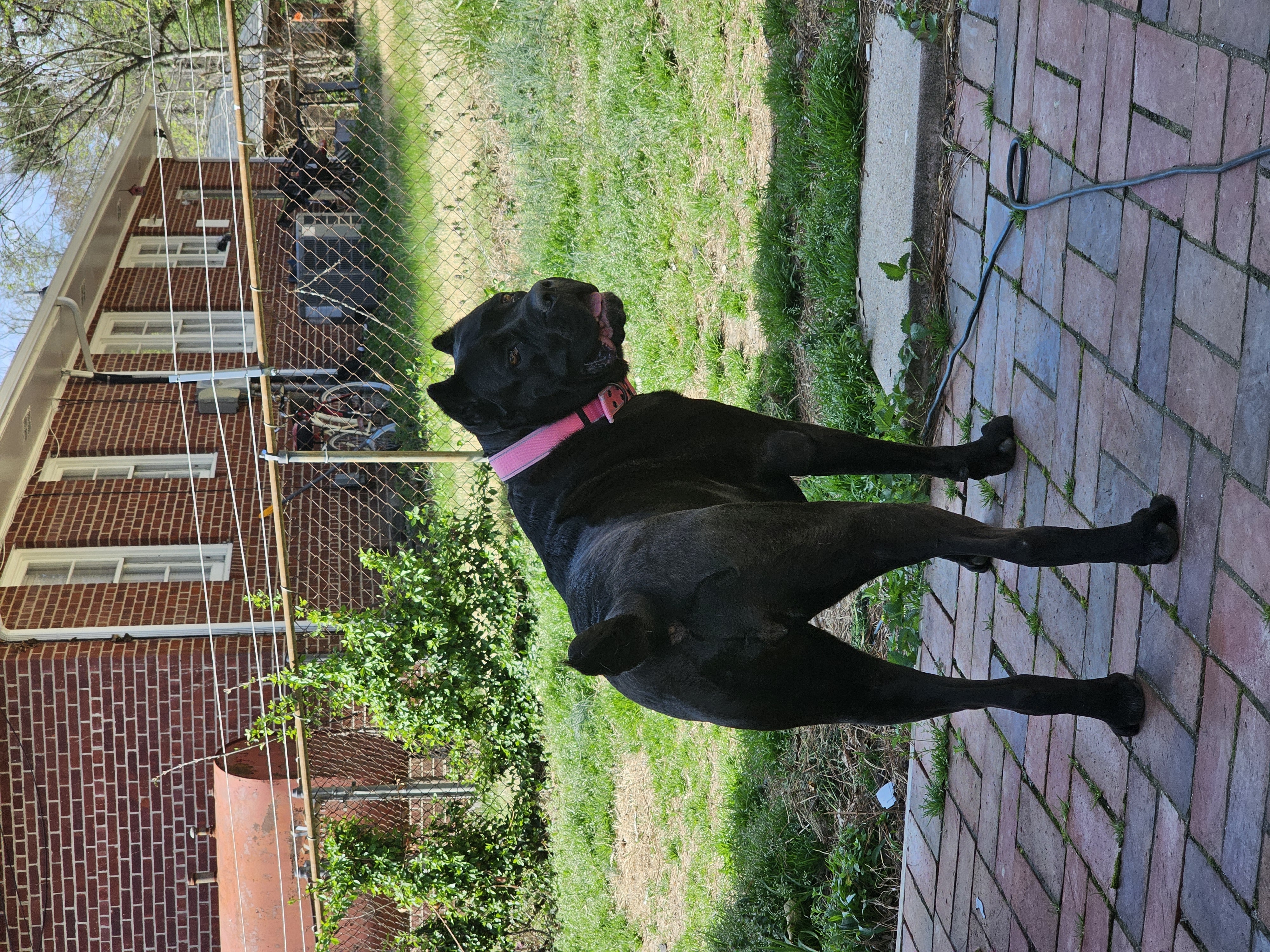 I got my eyes on you